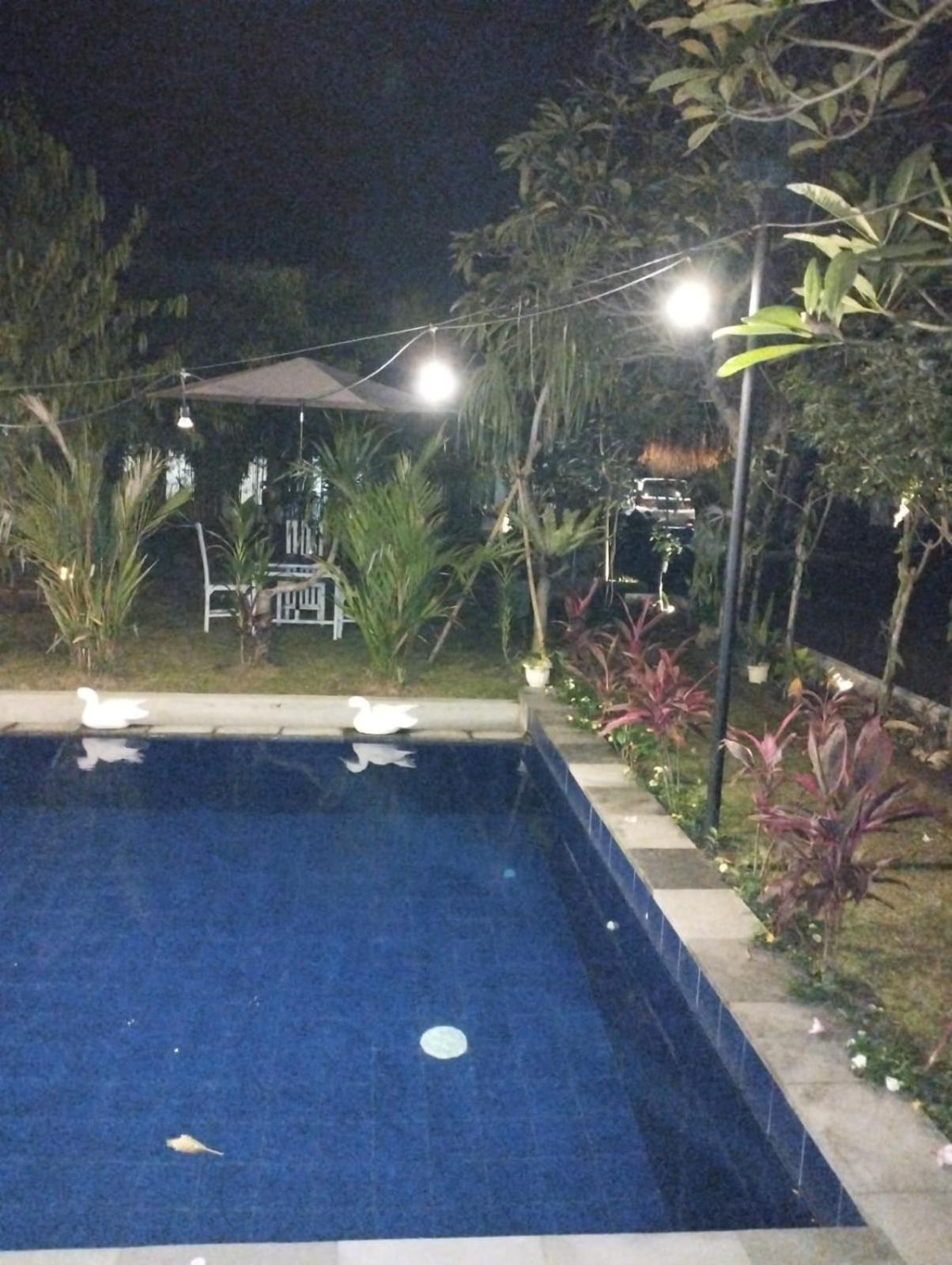 Puri Amartha Lägenhet Ubud Exteriör bild