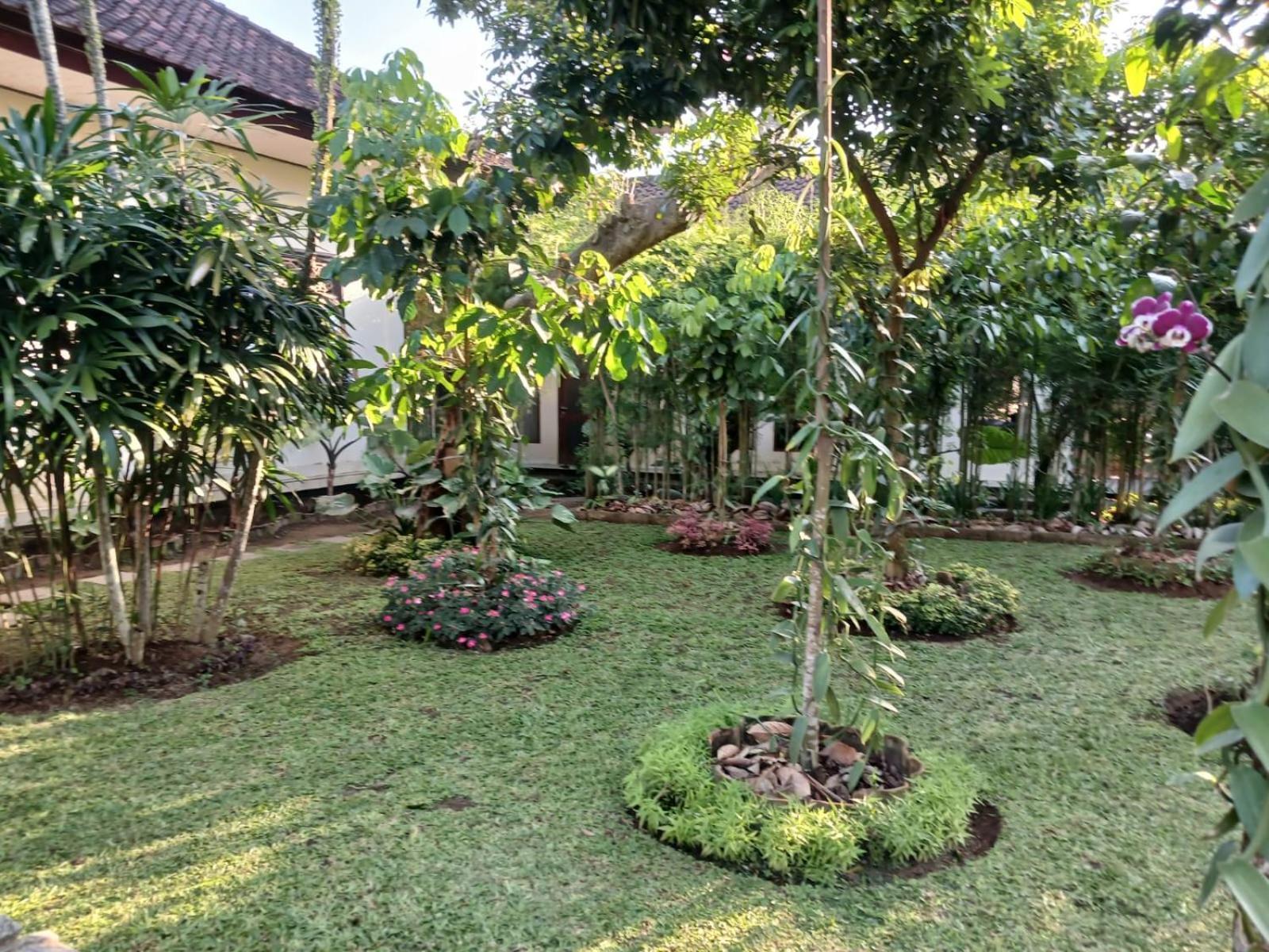 Puri Amartha Lägenhet Ubud Exteriör bild