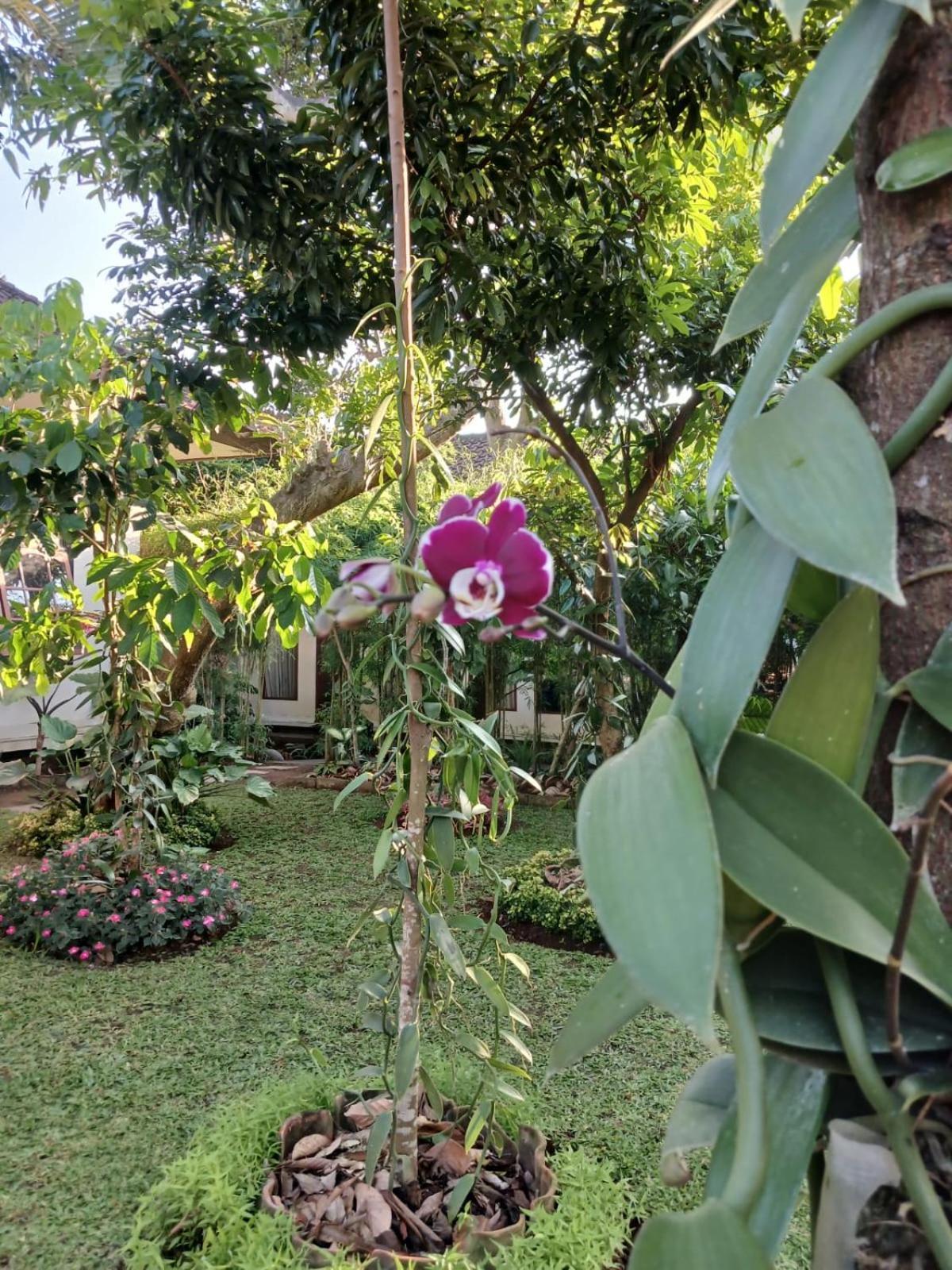 Puri Amartha Lägenhet Ubud Exteriör bild