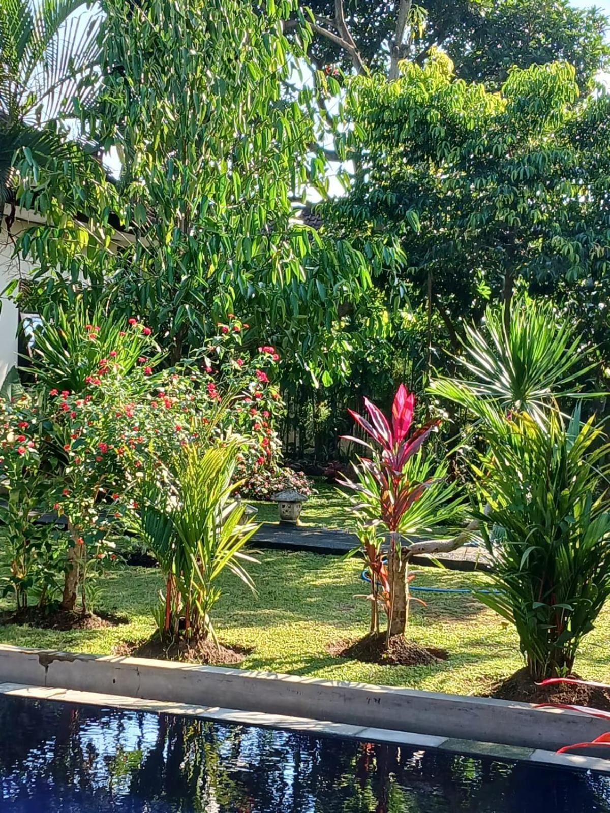 Puri Amartha Lägenhet Ubud Exteriör bild