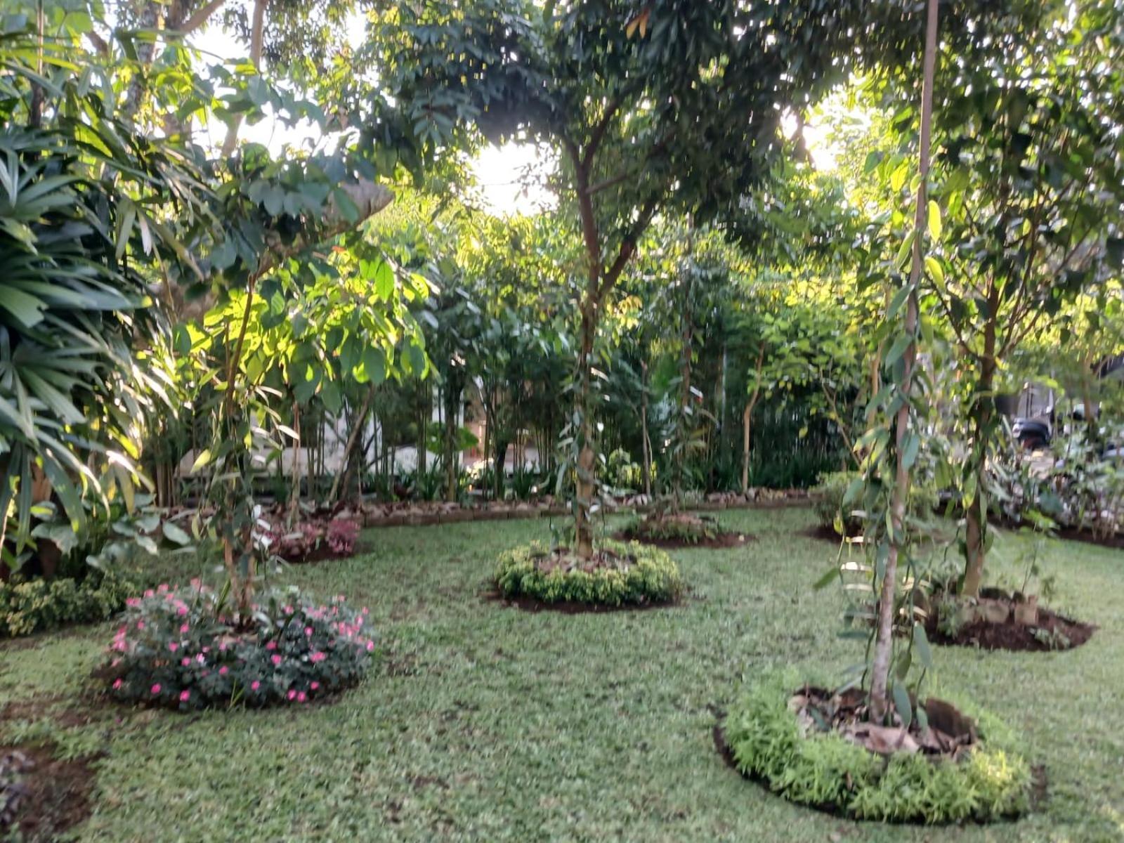 Puri Amartha Lägenhet Ubud Exteriör bild