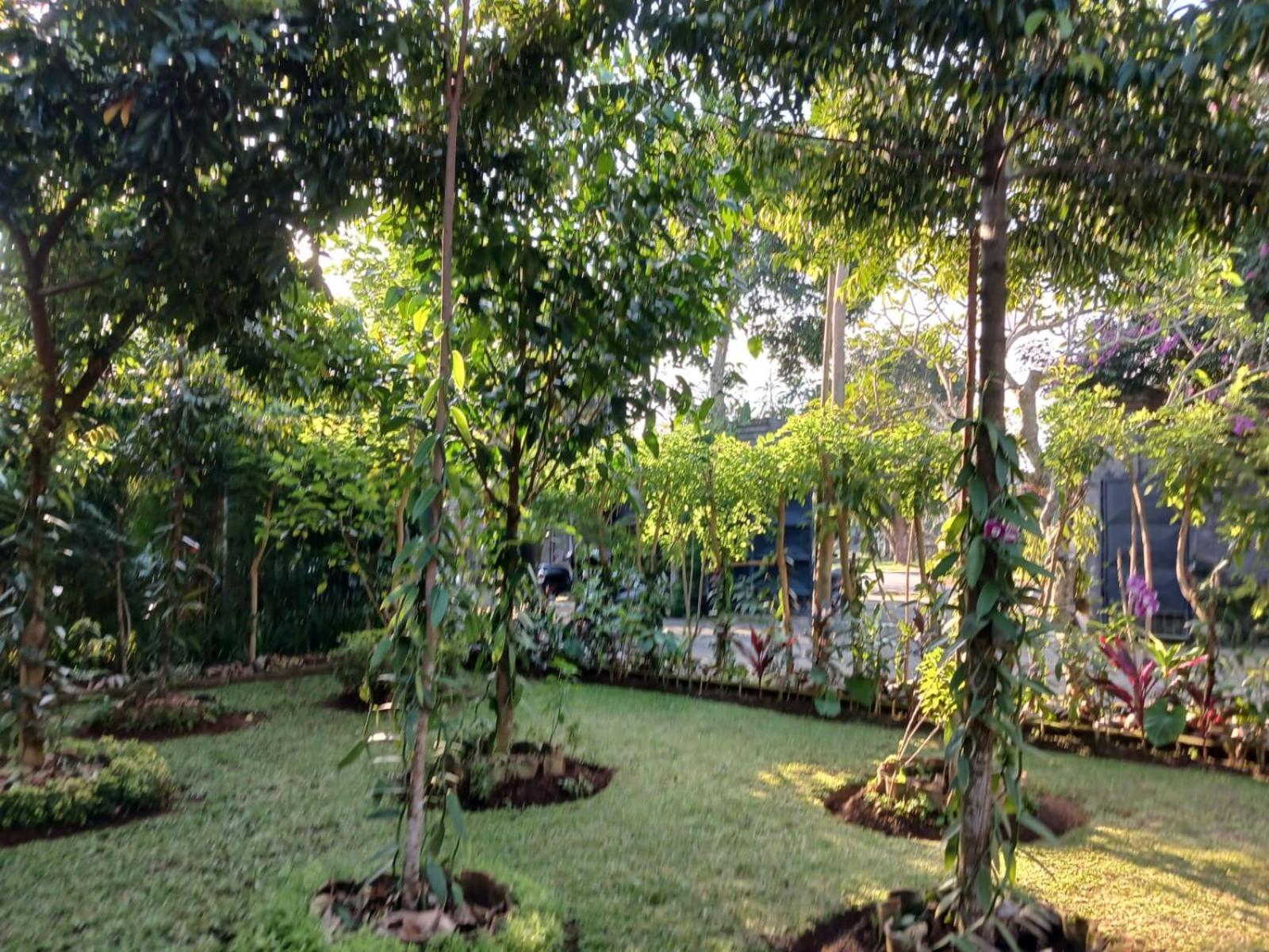 Puri Amartha Lägenhet Ubud Exteriör bild
